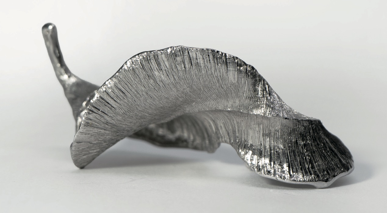 Detail showing the curl of the wave from above.