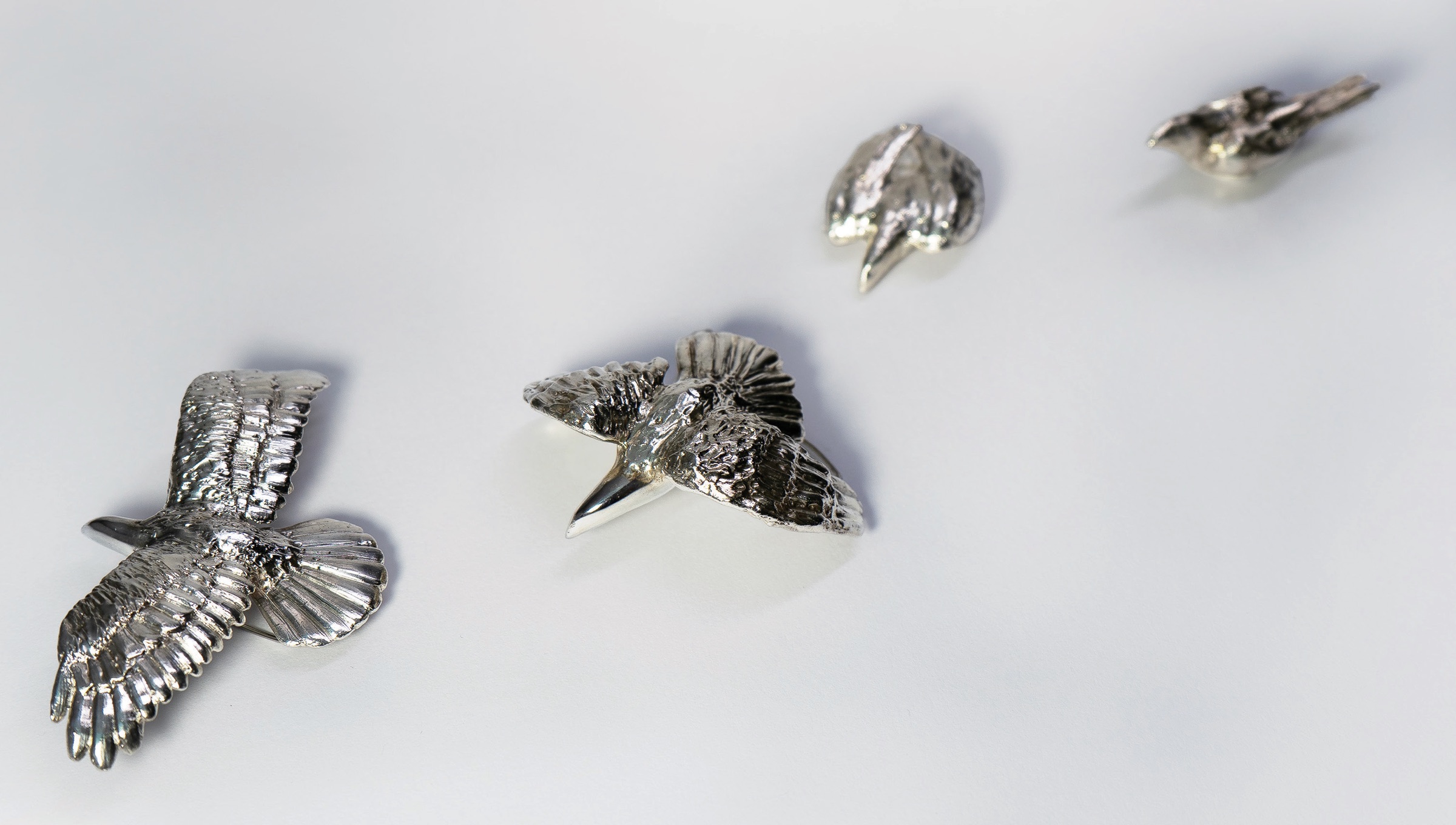 Four silver birds laid out, progressing from a hidden form to one in full flight.